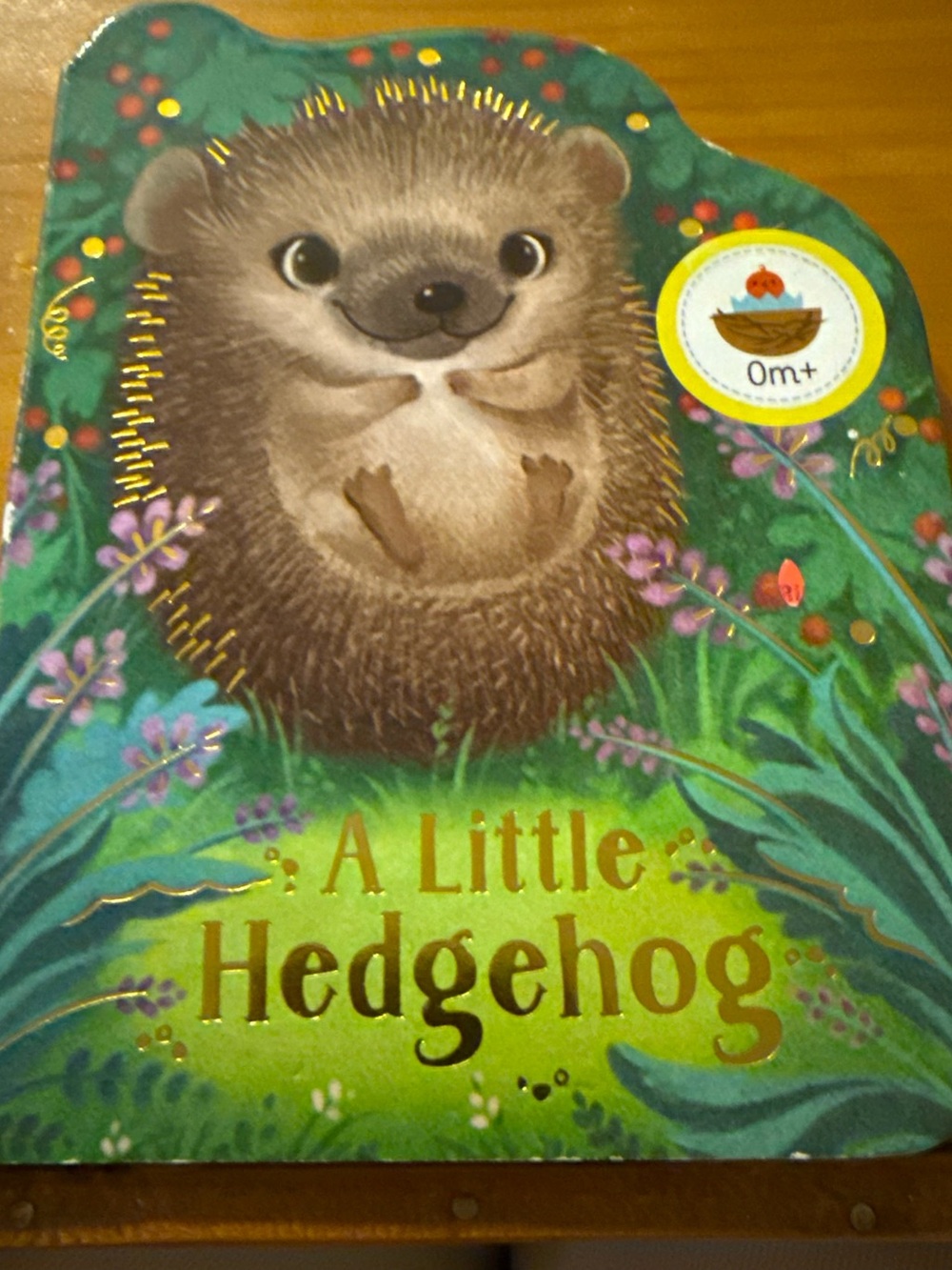 A Little Hedgehog Children’s Board Book 0m+
